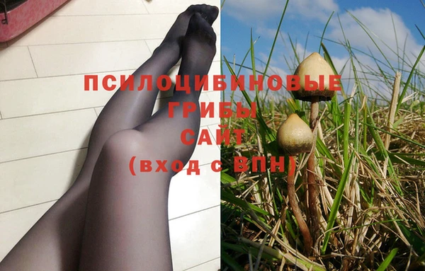 PSILOCYBIN Каменногорск