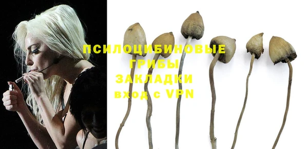 PSILOCYBIN Каменногорск