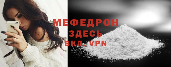 соль ск Каменка