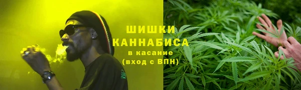 тгк Касимов
