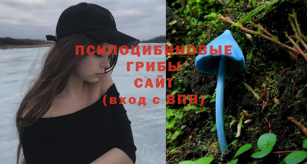 соль ск Каменка