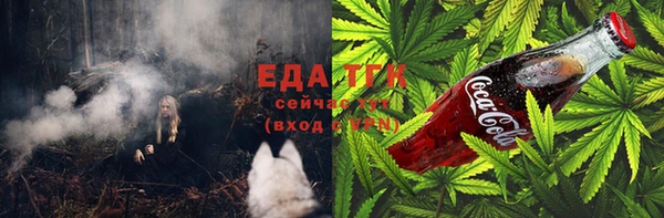 тгк Касимов