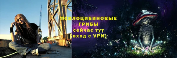 тгк Касимов