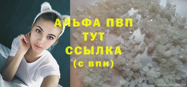 PSILOCYBIN Каменногорск
