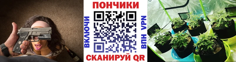 Бошки Шишки планчик  Купить  Данилов 